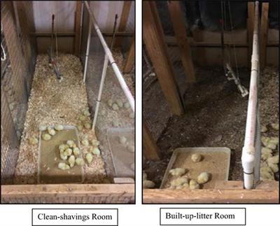 Impact of Built-up-Litter and Commercial Antimicrobials on Salmonella and Campylobacter Contamination of Broiler Carcasses Processed at a Pilot Mobile Poultry-Processing Unit